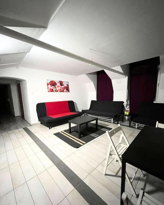 Stag & Party Travelers Flat